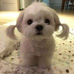 에이<b>블리</b> 만원 뽑은애잇냐