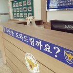 [19] 서울에서 부산 비행기 타본사람??