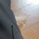 [NCT즌] 꼬리 튀어나온 거 조카 귀엽다