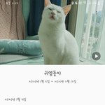 [NCT] <b>내</b> <b>폰</b>마저 인정하는 귀염댕 김정우씨