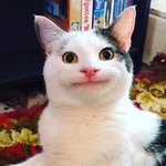 조거팬츠는 검정이다 <b>회색</b>이다