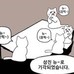 ㅅㅂ 내일 학교 감