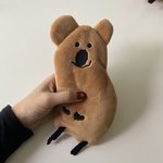 <b>필통</b> 좀 골라주라 ㅜㅜ