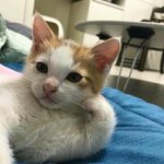 와 나 ㄹㅇ 커피 마시면 안되겠다