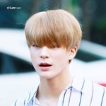 [NCT즌] <b>헤이즐넛</b> 악개 나야나