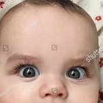 [모두드루와] 나 소나무임?