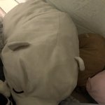 [NCT즌] 오늘 제노 릴<b>캠</b>보다가 깜놀