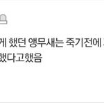 [댓글부탁해] 너네 <b>유서</b> 쓰고 가주라!