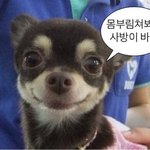 야 고3 한달 용돈 얼마가 <b>적당</b>한거야?