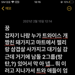 얘들아 내 꿈 봐봐..