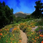 [댓글부탁해] <b>배탈</b> 몇시간만에 나을 수 있음?