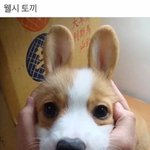 내 친구중에 <b>예랑</b>가랑 가인병 걸린애 있음