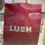 <b>러쉬</b> 세일 플렉스