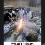 [댓글부탁해] 난 내 mbti 모르겠음