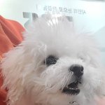 [NCT즌] 대갈이 이빨봐
