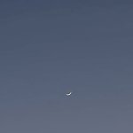걍 오늘 추우니까 <b>산책</b> 안 나갈래~~