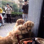 [댓글부탁해] 곧 재수<b>기숙</b>학원 들어간다