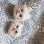 [댓글부탁해] <b>미대</b>입시 이런일도 있을 수 있어?