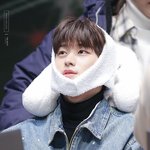 [더보이즈] 야 나만 주연이 <b>시</b><b>나모</b>롤로 모에화함..?