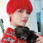 김태형한테 안겨있는 강아지 좀 볼래