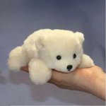 [드루와] 내신 애매한데 <b>논술</b> 어때 ㅠㅠ