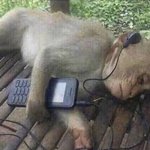 비밀사이 수 이<b>새기</b> ㅈㄴ부럽네