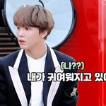 [NCT즌] 이해찬 <b>위</b>고업시절은 솔직히 드림애들도