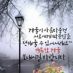 [댓글부탁해] 유니클로 24면
