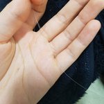 나 <b>새치</b> 무슨일임;;