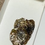 회 배달시켜 먹었는데 서비스로 받은 굴에서 지렁이