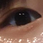 인스타에 강아지필터