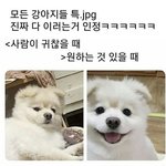 <b>여우</b>놈한테 홀리기 vs 그냥 이대로 살기