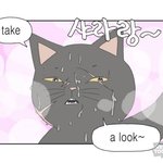 [ㅈㄱㄴ] 요즘 고딩들 어디 브랜드 입고 <b>다님</b>