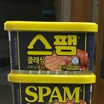 설날을 끝내고 얻은 <b>스팸</b>탑
