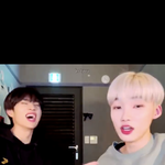선뉴선 하는 애들아