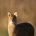 [TXT] 카이 이거 닮았어