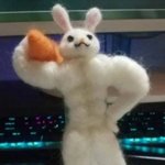 [시에미즈] 각자 자기 최애가 닮은 <b>동물</b> 뭐야???