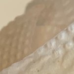 [댓글부탁해] [혐오주의] <b>K사</b> 햄버거에서 곤충류 벌레가 나왔어요...