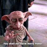 해리포터 원작 속 도비 귀여운 일화들 2