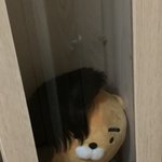 행복하다 존잘남들이 보고싶다고 연락하는 삶
