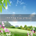 [좋은생각] 나에게 하루를 <b>주심</b>을 감사합니다~