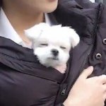 [더보이즈] <b>모리</b> 보고싶다