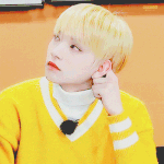 세븐틴 <b>조슈아</b> 짤털