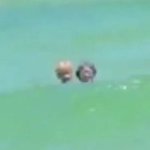 [NCT] 저화질의 금색과 <b>은색</b>