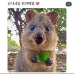 [방탄소년단] 내 알람 <b>상태</b> 확인하러 팬톡 옴