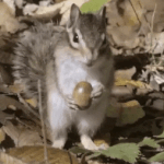 [방탄소년단] 현재 작업실에서의 홉 .<b>gif</b>