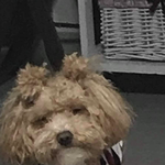 [NCT즌] ㅅㄷ 나 방에서 누워서 혼자 폰하다가 폰 떨궈서 <b>아악</b>...
