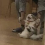 [방탄소년단] 울컥하지 왜