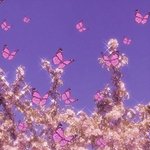 [드루와] 반년전 유라이크보다 지금 <b>일카</b>가 더 예쁨