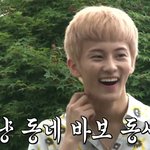 [NCT즌] 아까 엔시티라이프 단합대회 다시 보다가 웃겨 <b>뒤질</b>뻔